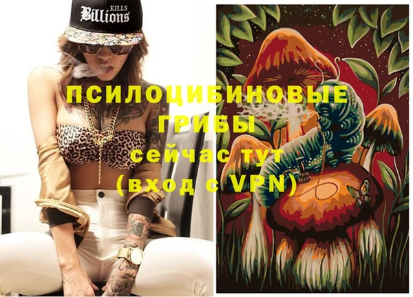 мяу мяу мука Козловка