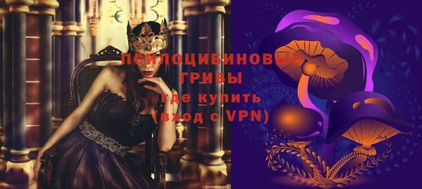 МДПВ Кодинск