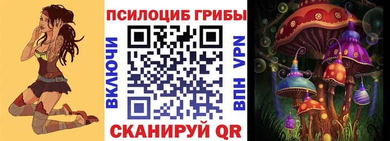 Купить закладки  Белокуриха  Псилоцибиновые грибы MAGIC MUSHROOMS 